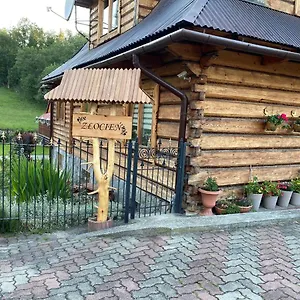 Złocień Kwatera prywatna